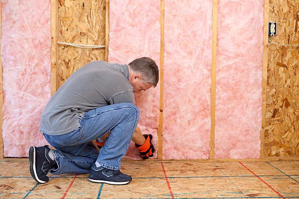 Best Cellulose Insulation in Cedar City, UT
